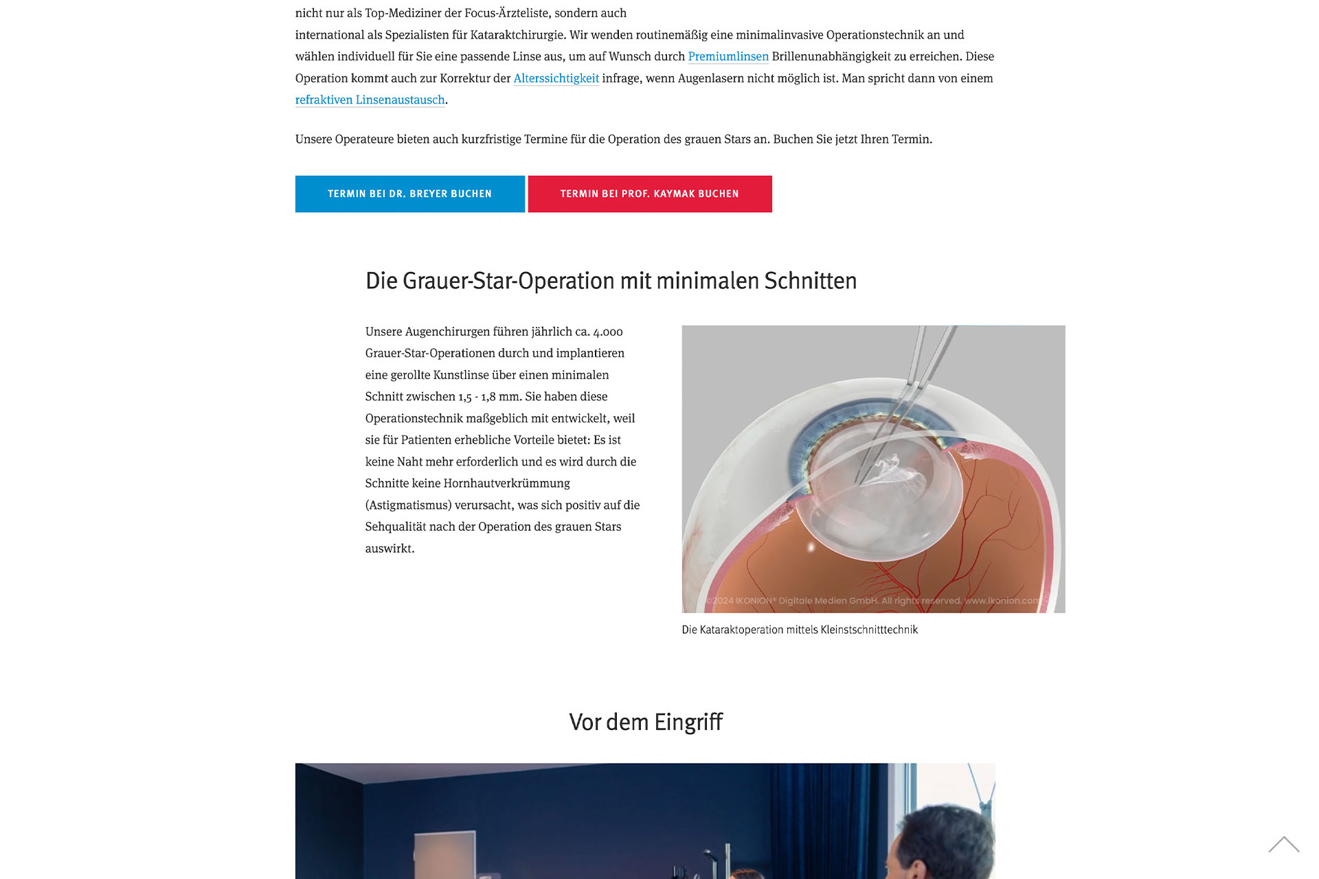 Easy-Eye-Web_Breyer 1